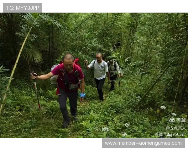 如何科学利用真人龙虎打法提升连续赢取的可能性分析