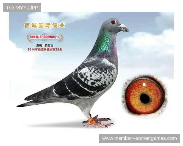 掌握AG国际真人版全站登录的秘籍，解决登录安全问题保障账户信息安全